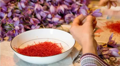 تصویر 3 از خرید زعفران مجتهدی + قیمت عالی باکیفیت